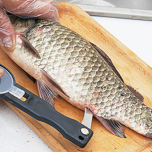 Practical Fish Scale Remover: Plastic Descaler and Kitchen Scraper for Fruit, Vegetable Peeling
